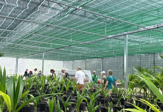 Explore Cai Ga – Cai Mon Nursery Village