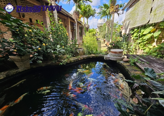 HOMESTAY ÚT QUỲNH
