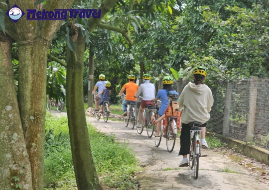 2D1N: CÁI THIA – HOMESTAY – CÁI BÈ