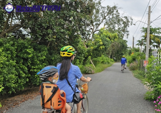 2D1N: CÁI THIA – HOMESTAY – CÁI BÈ
