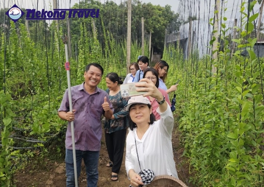 2D1N: CÙ LAO TAM HIỆP  + ÚT TRINH BẾN TRE HOMESTAY 