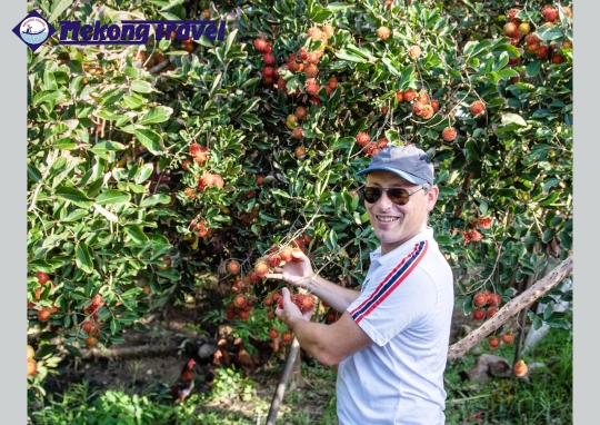 Vĩnh Long - Cù Lao An Bình - Vương Quốc Đỏ