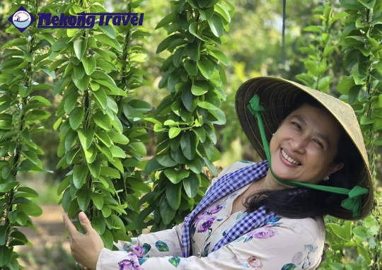 BẾN TRE – TAM HIỆP ISLAND – BẾN TRE