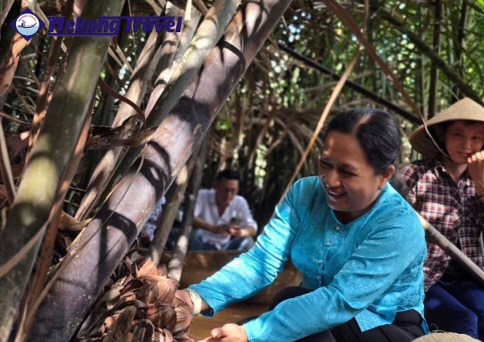 BẾN TRE – TAM HIỆP ISLAND – BẾN TRE