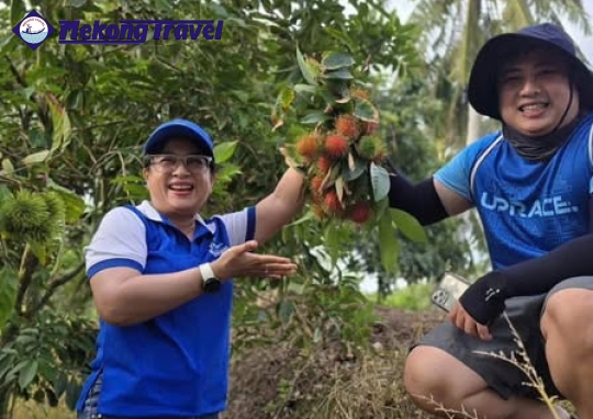 CAI THIA – AN BINH ISLAND – VINH LONG