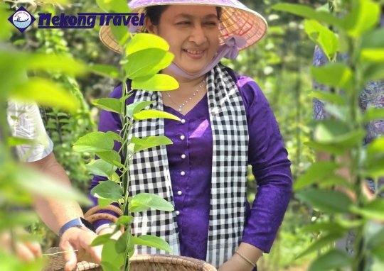 BẾN TRE – TAM HIỆP ISLAND – BẾN TRE