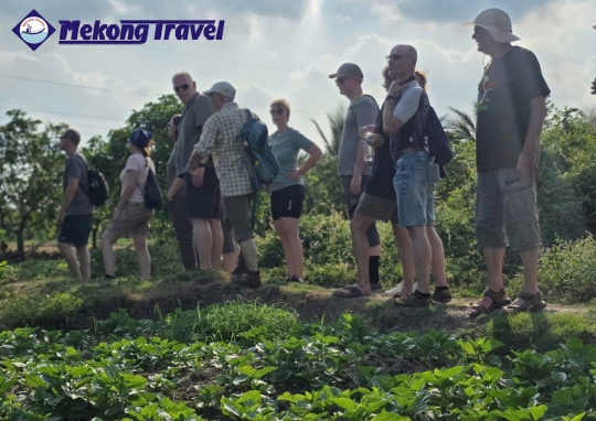 CAIBE – HANDICRAFT VILLAGE -  HOMESTAY - PHUOC HAU VEGE FARM - RED KINGDOOM - VINHLONG