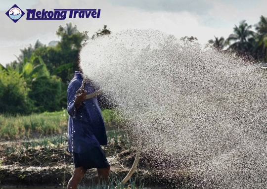 CAIBE – HANDICRAFT VILLAGE -  HOMESTAY - PHUOC HAU VEGE FARM - RED KINGDOOM - VINHLONG
