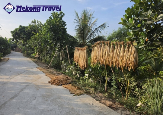 Tour Mekong 1.1: Vĩnh Long - Cù Lao An Bình 