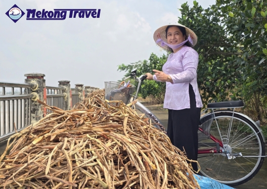 CAIBE - TANPHONG  ISLAND - HANDICRAFT - CAIBE