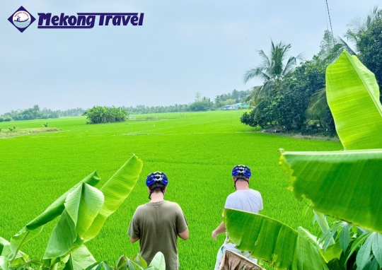 3D2N: CAITHIA – HOMESTAY (1) – VUONG QUOC DO – PHUOC HAU – HOMESTAY (2) - CAIBE 