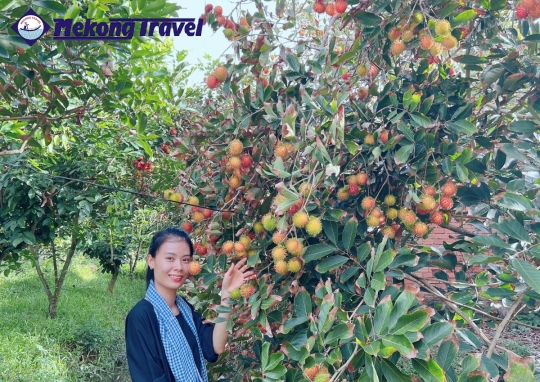 CÁI THIA – HOMESTAY – PHƯỚC HẬU – CẦN THƠ