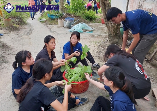 CÁI THIA – HOMESTAY – PHƯỚC HẬU – CẦN THƠ
