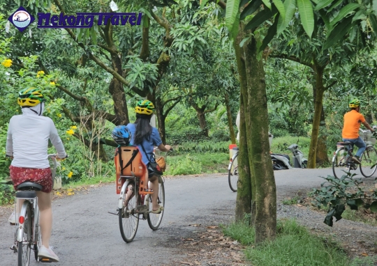 CÁI THIA – LÀNG XOÀI CÁT HÒA LỘC– CÁI BÈ