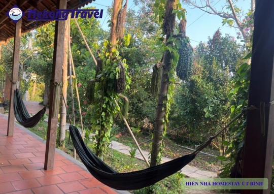 ÚT BÌNH HOMESTAY