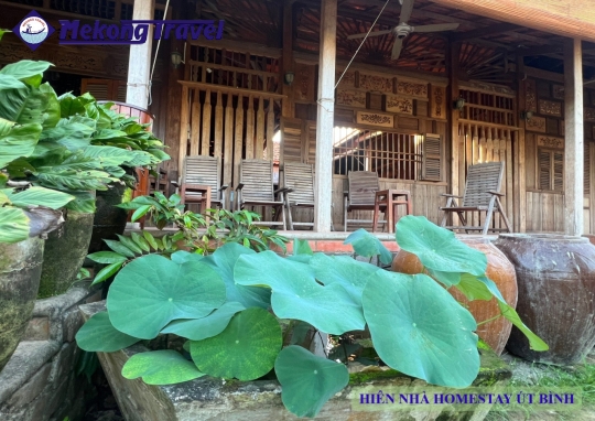 ÚT BÌNH HOMESTAY