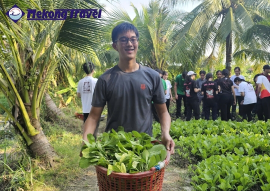 CÁI BÈ – LÀNG NGHỀ -  NHÀ ÚT TRINH - LÀNG RAU PHƯỚC HẬU – VƯƠNG QUỐC ĐỎ - VĨNH LONG