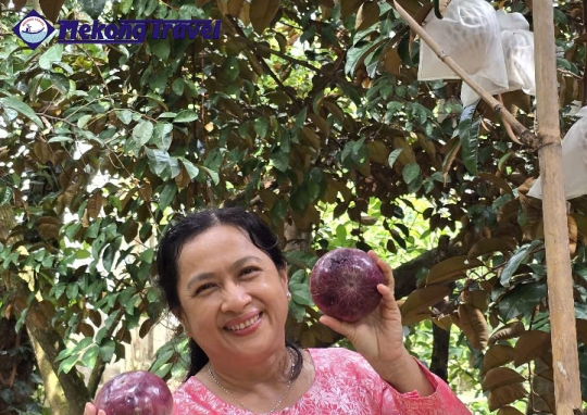 2D1N: CÁI THIA – HOMESTAY – VĨNH LONG 